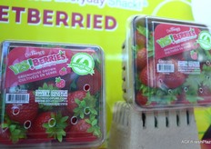 Del Fresco Pure – https://www.delfrescopure.com/ 